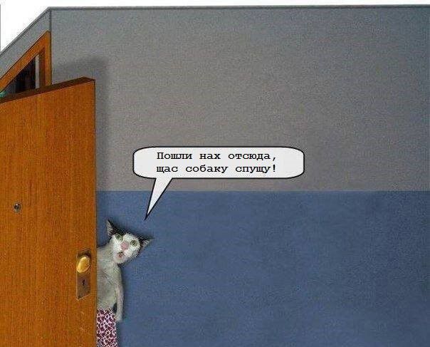 Пошли нах отсюда, щас собаку спущу!