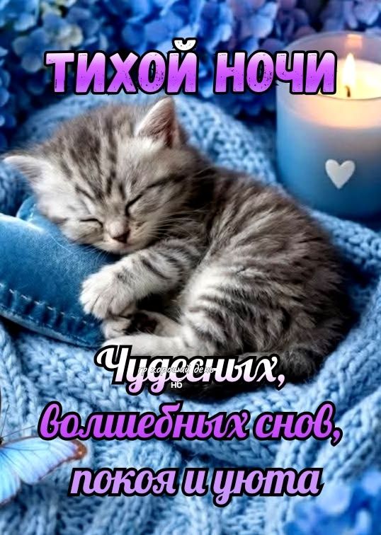 ТИХОЙ НОЧИ Чудесных, волшебных снов, покоя и уюта