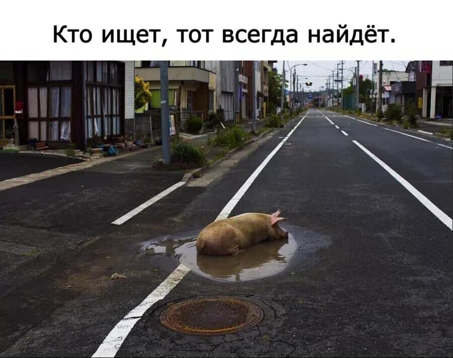 Кто ищет, тот всегда найдёт.