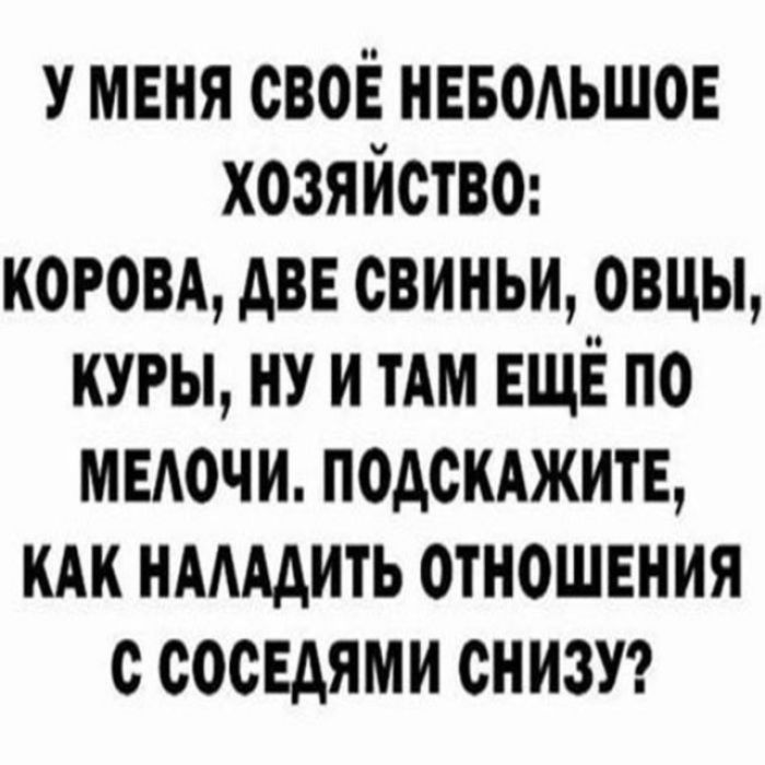 У МЕНЯ СВОЁ НЕБОЛЬШОЕ ХОЗЯЙСТВО: КОРОВА, ДВЕ СВИНЬИ, ОВЦЫ, КУРЫ, НУ И ТАМ ЕЩЁ ПО МЕЛОЧИ. ПОДСКАЖИТЕ, КАК НАЛАДИТЬ ОТНОШЕНИЯ С СОСЕДЯМИ СНИЗУ?