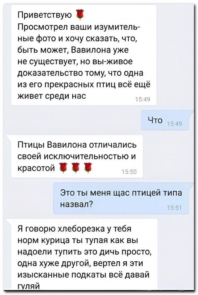 Приветствую 🌹 Просмотрел ваши изумительные фото и хочу сказать, что, быть может, Вавилона уже не существует, но вы живое доказательство тому, что одна из его прекрасных птиц всё ещё живет среди нас. Что. Птицы Вавилона отличались своей исключительностью и красотой 🌹🌹🌹. Это ты меня щас птицей типа назвал? Я говорю хлеборезка у тебя норм курица ты