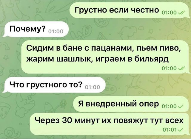 Грустно если честно. Почему? Сидим в бане с пацанами, пьем пиво, жарим шашлык, играем в бильярд. Что грустного то? Я внедренный опер. Через 30 минут их повяжут тут всех.