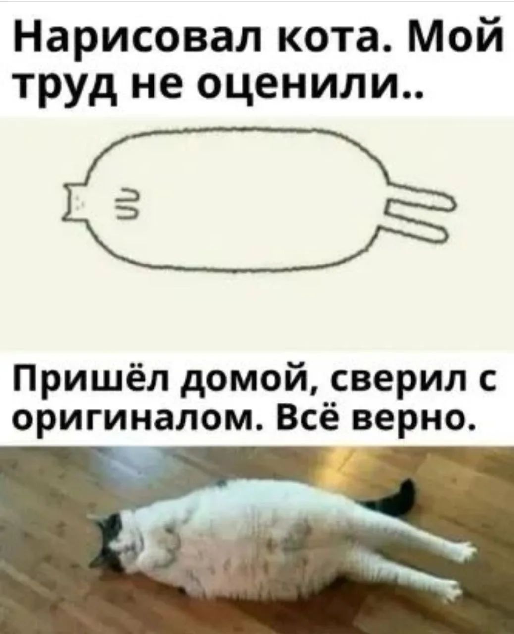 Нарисовал кота. Мой труд не оценили.. Пришёл домой, сверил с оригиналом. Всё верно.