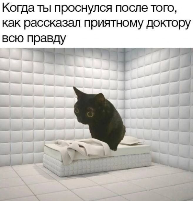 Когда ты проснулся после того, как рассказал приятному доктору всю правду