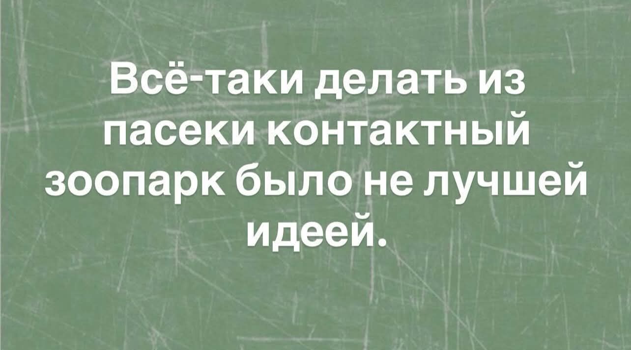 Всё-таки делать из пасеки контактный зоопарк было не лучшей идеей.