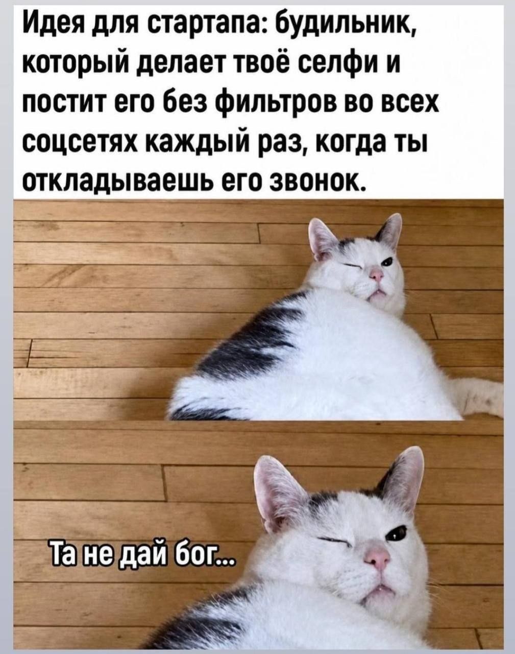 Идея для стартапа: будильник, который делает твоё селфи и постит его без фильтров во всех соцсетях каждый раз, когда ты откладываешь его звонок. Та не дай бог...
