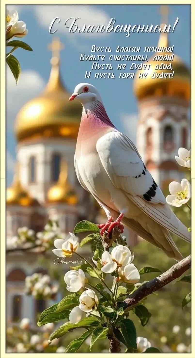 С Благовещением! Весть благая пришла! Будьте счастливы, люди! Пусть не будет обид, И пусть горя не будет! Светлана С.
