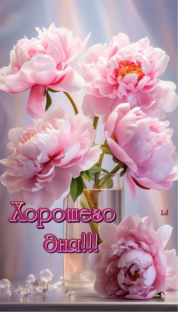Хорошего дня!!! Ld