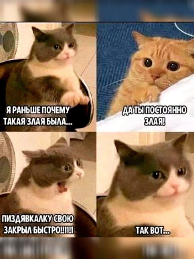 Я раньше почему такая злая была... Да ты постоянно злая! Пиздявкалку свою закрыл быстро! Так вот...