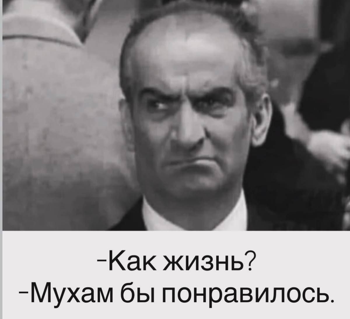 -Как жизнь? -Мухам бы понравилось.