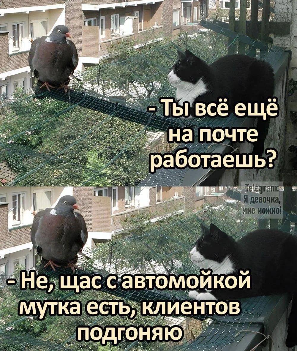 - Ты всё ещё на почте работаешь? - Не, щас с автомойкой мутка есть, клиентов подгоняю