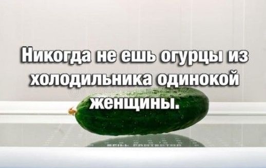 Никогда не ешь огурцы из холодильника одинокой женщины.