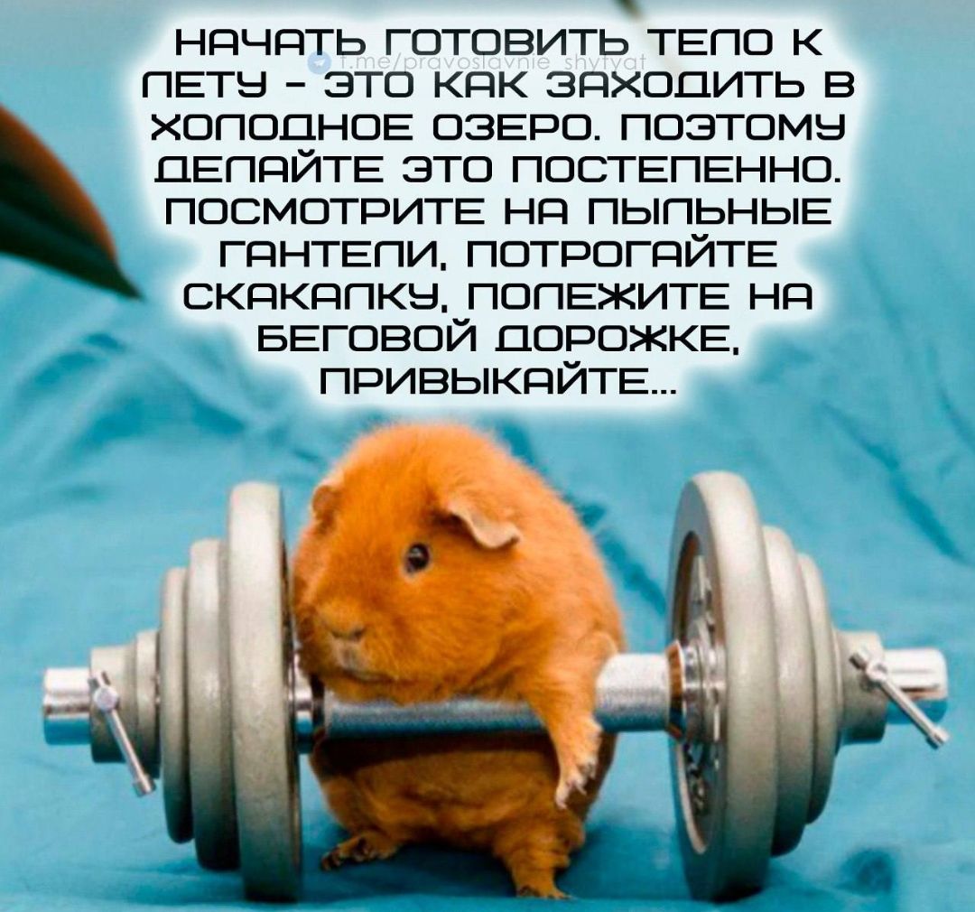НАЧАТЬ ГОТОВИТЬ ТЕЛО К ЛЕТУ - ЭТО КАК ЗАХОДИТЬ В ХОЛОДНОЕ ОЗЕРО. ПОЭТОМУ ДЕЛАЙТЕ ЭТО ПОСТЕПЕННО. ПОСМОТРИТЕ НА ПЫЛЬНЫЕ ГАНТЕЛИ, ПОТРОГАЙТЕ СКАКАЛКУ, ПОЛЕЖИТЕ НА БЕГОВОЙ ДОРОЖКЕ, ПРИВЫКАЙТЕ...
