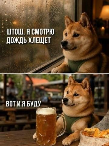 Штош, я смотрю дождь хлещет. Вот и я буду