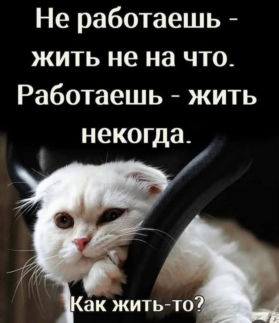 Не работаешь - жить не на что. Работаешь - жить некогда. Как жить-то?