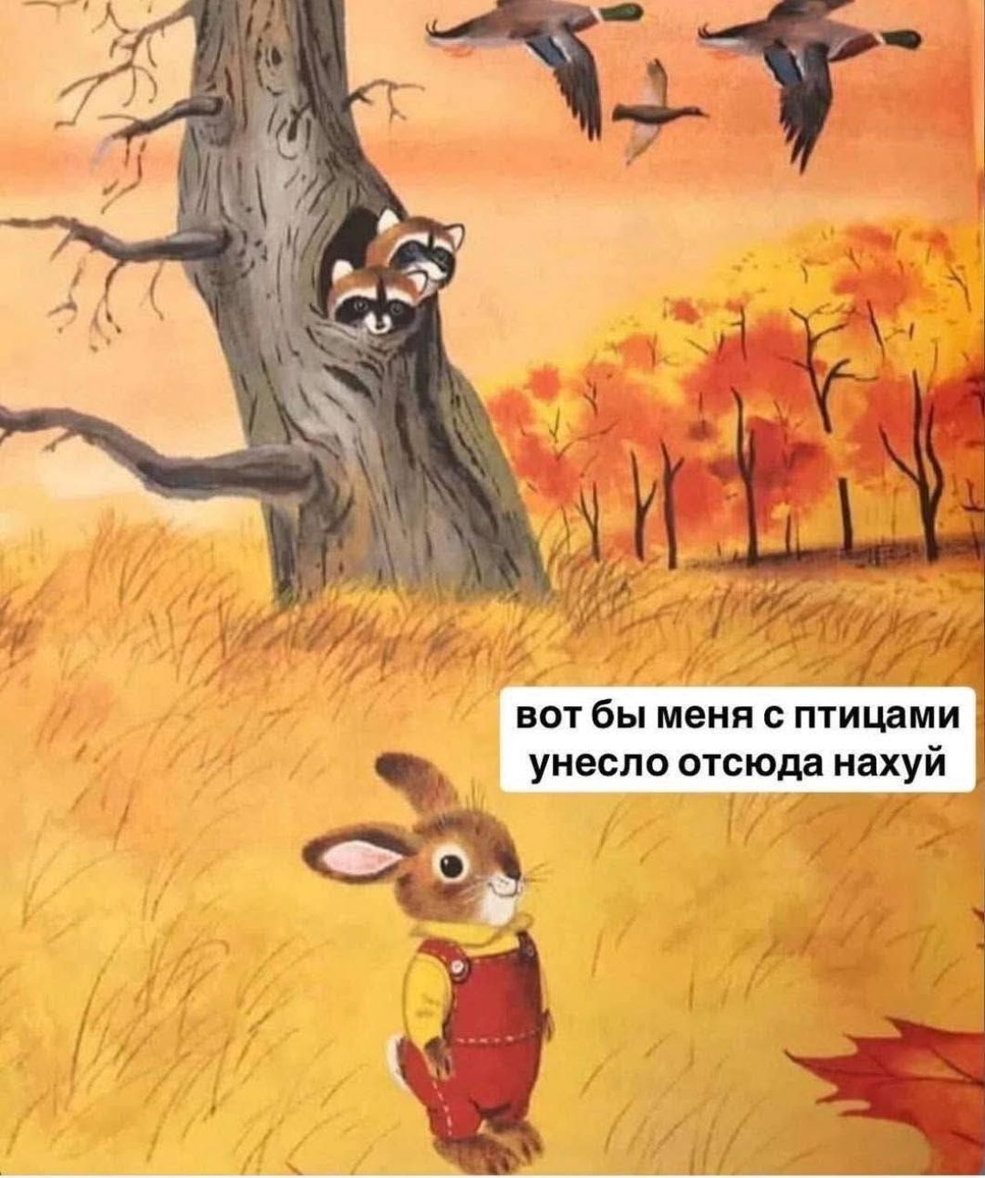вот бы меня с птицами унесло отсюда нахуй