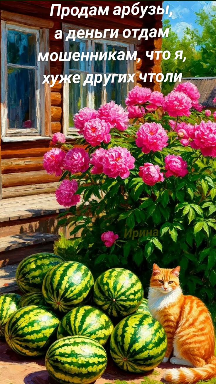 Продам арбузы, а деньги отдам мошенникам, что я, хуже других что ли. Ирина