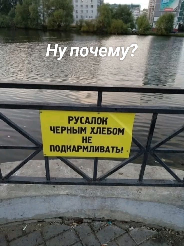 Ну почему? РУСАЛОК ЧЕРНЫМ ХЛЕБОМ НЕ ПОДКАРМЛИВАТЬ!