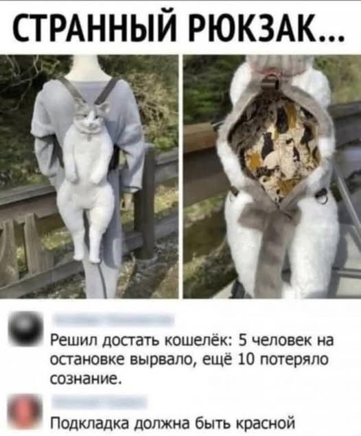 СТРАННЫЙ РЮКЗАК... Решил достать кошелёк: 5 человек на остановке вырвало, ещё 10 потеряло сознание. Подкладка должна быть красной