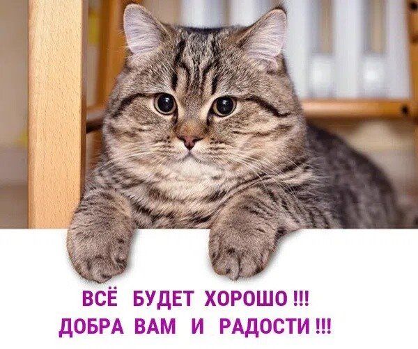 ВСЁ БУДЕТ ХОРОШО !!! ДОБРА ВАМ И РАДОСТИ !!!