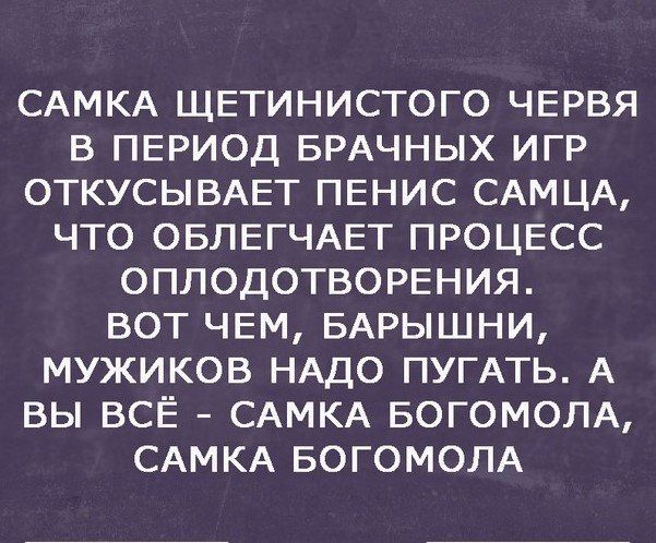 Самка щетинистого червя в период брачных игр откусывает пенис самца, что облегчает процесс оплодотворения. Вот чем, барышни, мужиков надо пугать. А вы всё - самка богомола, самка богомола