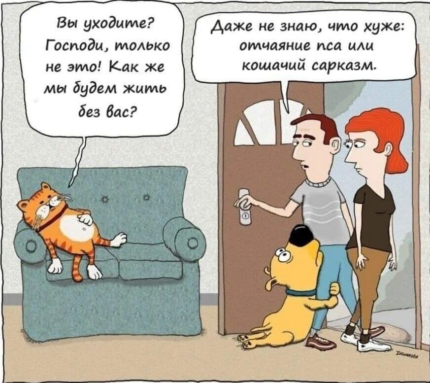 Вы уходите? Господи, только не это! Как же мы будем жить без вас? Даже не знаю, что хуже: отчаяние пса или кошачий сарказм.