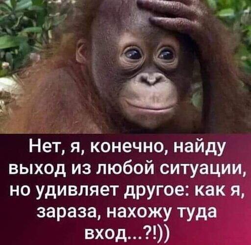 Нет, я, конечно, найду выход из любой ситуации, но удивляет другое: как я, зараза, нахожу туда вход...?!))