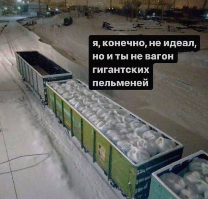 Я, конечно, не идеал, но и ты не вагон гигантских пельменей