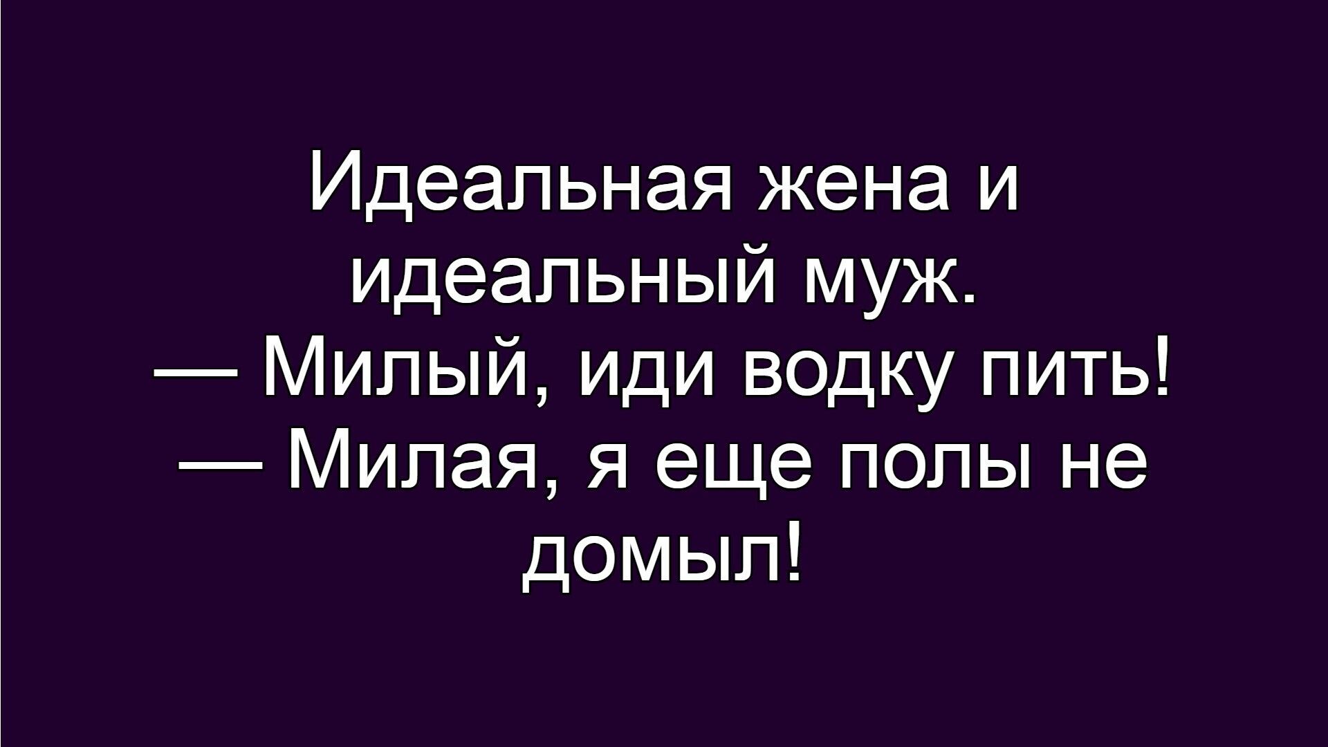 Идеальная жена и идеальный муж. — Милый, иди водку пить! — Милая, я еще полы не домыл!