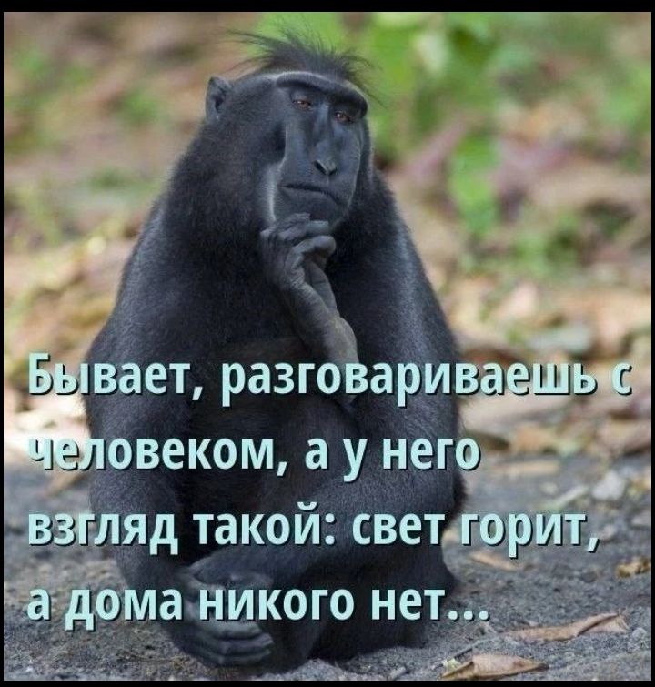 Бывает, разговариваешь с человеком, а у него взгляд такой: свет горит, а дома никого нет...
