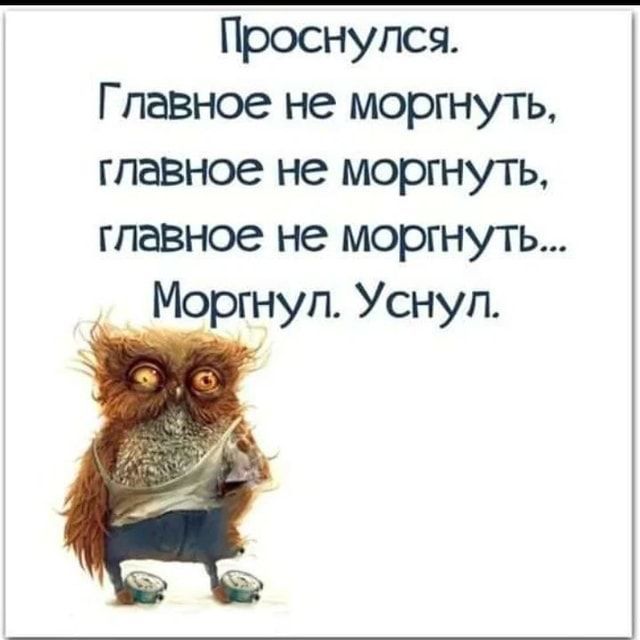 Проснулся. Главное не моргнуть, главное не моргнуть, главное не моргнуть... Моргнул. Уснул.