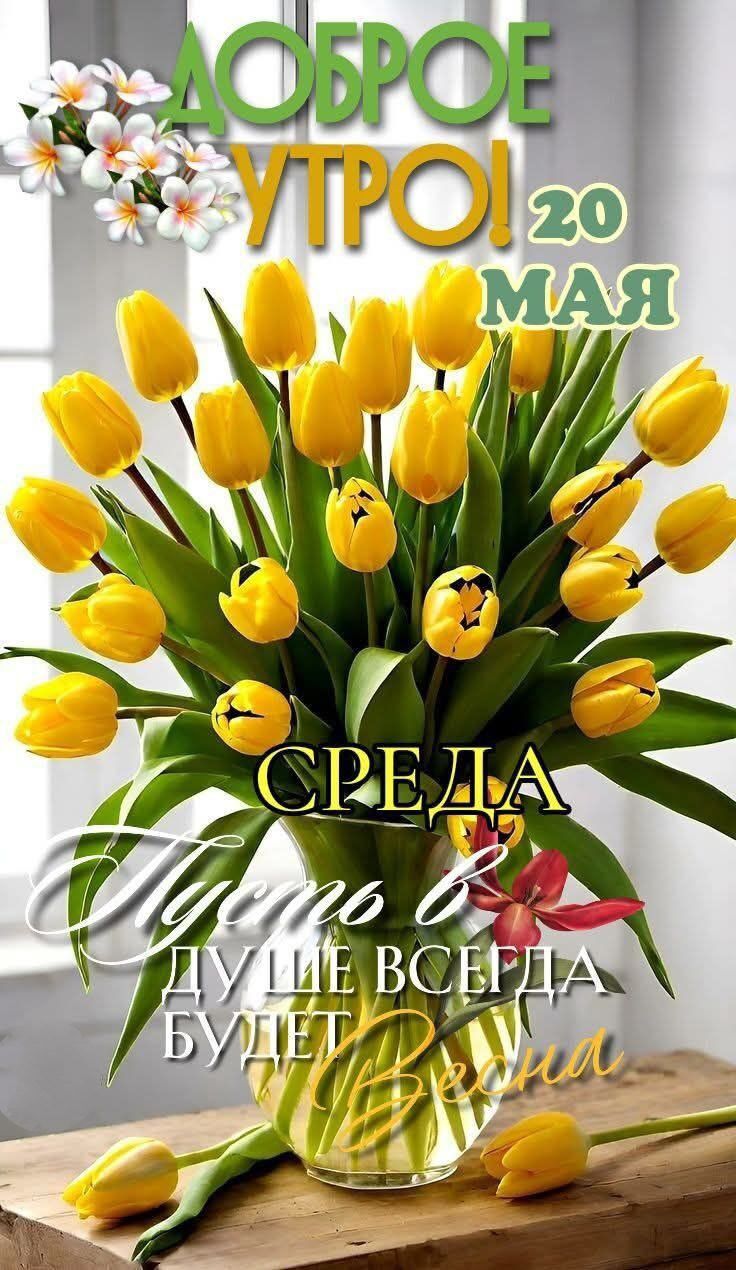 ДОБРОЕ УТРО! 20 МАЯ СРЕДА Пусть в ДУШЕ ВСЕГДА БУДЕТ Весна