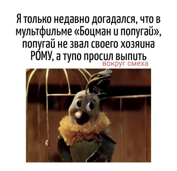 Я только недавно догадался, что в мультфильме «Боцман и попугай», попугай не звал своего хозяина РОМУ, а тупо просил выпить вокруг смеха