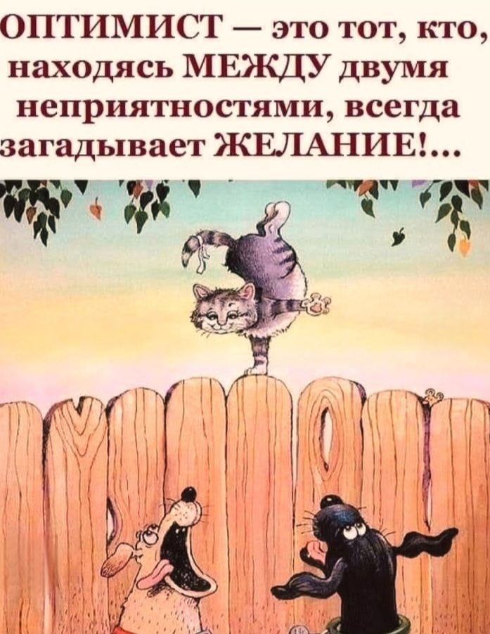 ОПТИМИСТ — это тот, кто, находясь МЕЖДУ двумя неприятностями, всегда загадывает ЖЕЛАНИЕ!...