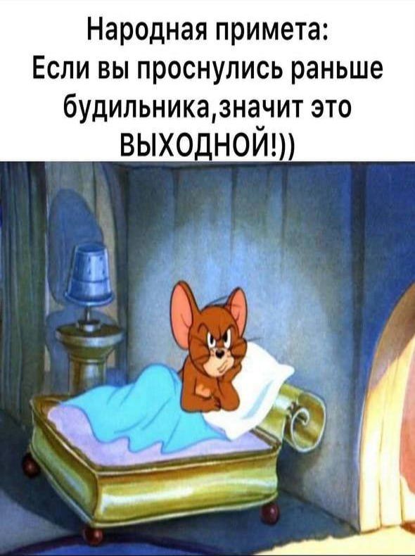 Народная примета: Если вы проснулись раньше будильника, значит это ВЫХОДНОЙ!))