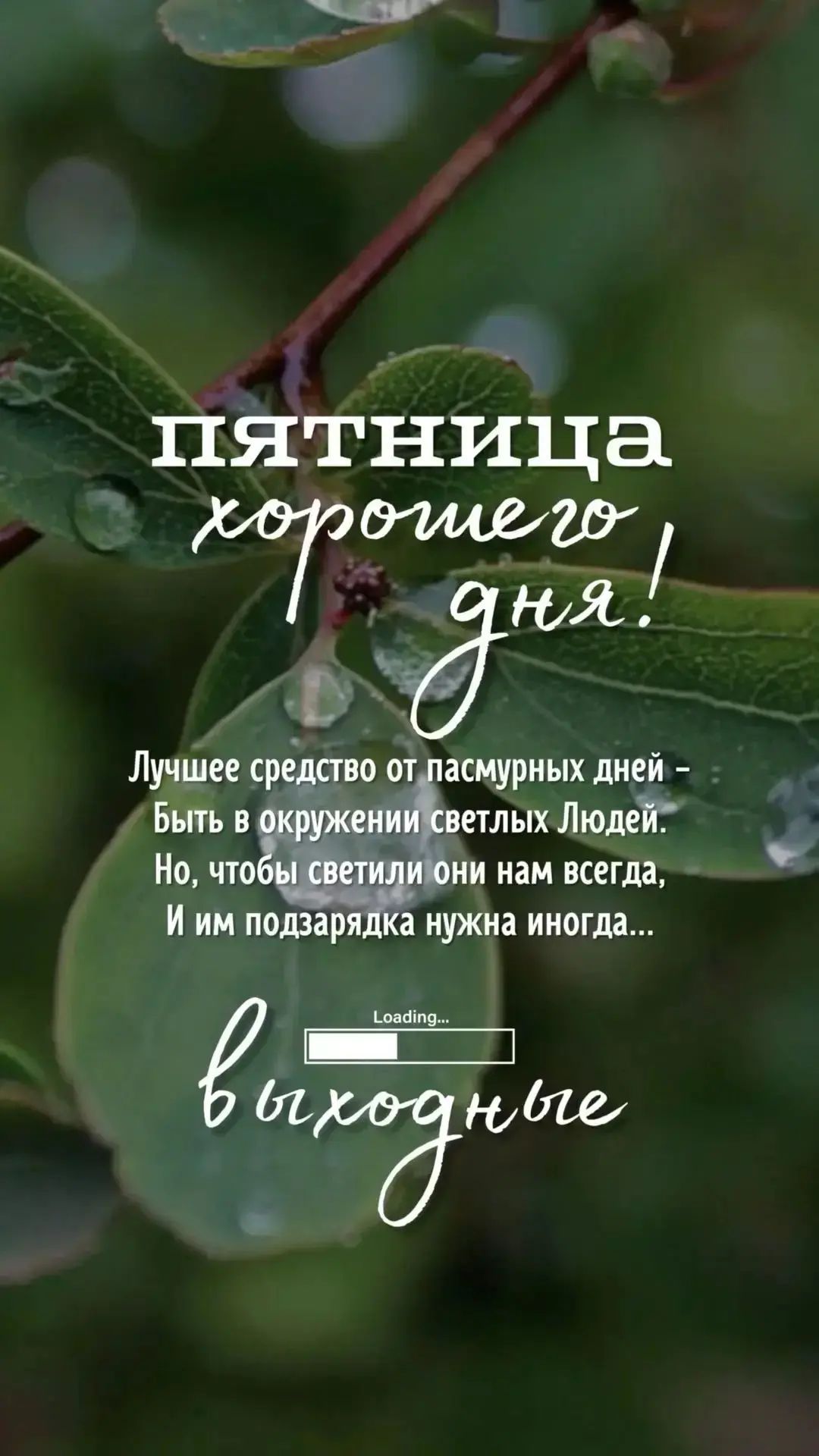 ПЯТНИЦА хорошего дня! Лучшее средство от пасмурных дней - быть в окружении светлых Людей. Но, чтобы светили они нам всегда, И им подзарядка нужна иногда... Loading... выходные