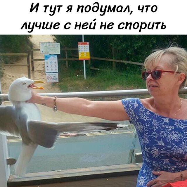 И тут я подумал, что лучше с ней не спорить