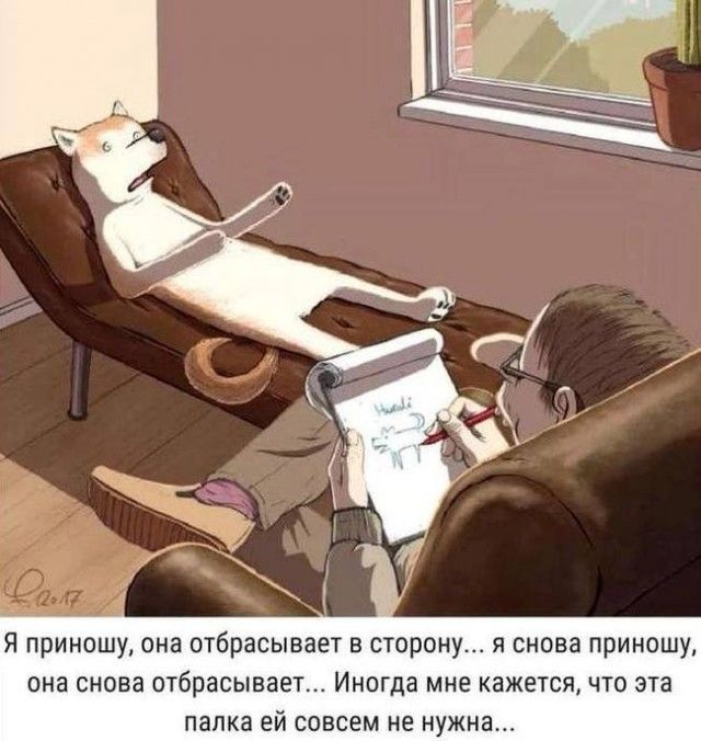 Я приношу, она отбрасывает в сторону... я снова приношу, она снова отбрасывает... Иногда мне кажется, что эта палка ей совсем не нужна...