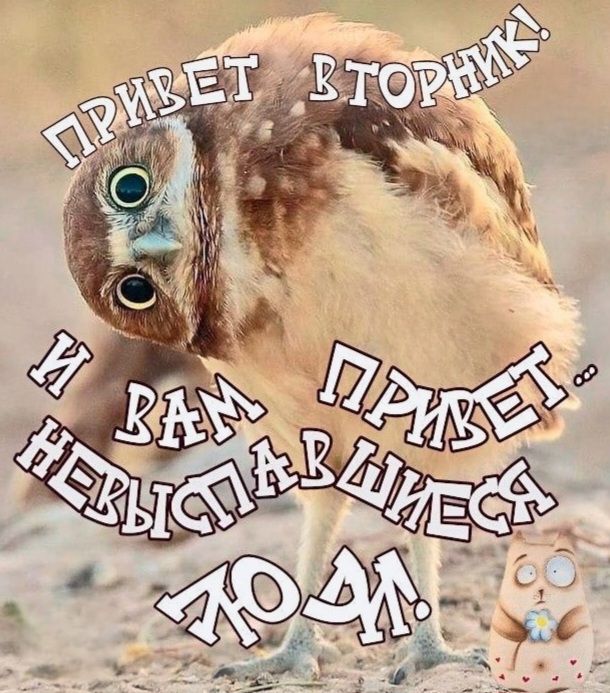 ПРИВЕТ ВТОРНИК! И ВАМ ПРИВЕТ... НЕВЫСПАВШИЕСЯ ЛЮДИ!