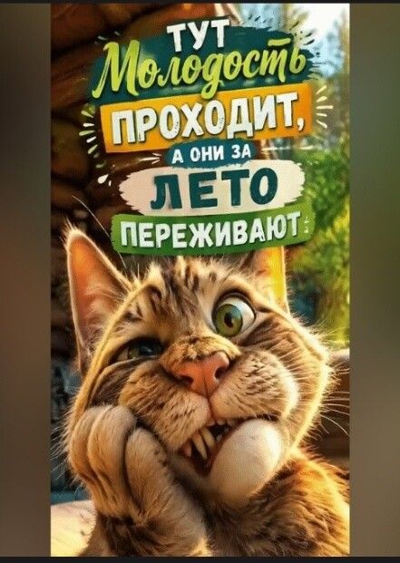 Тут молодость проходит, а они за лето переживают!
