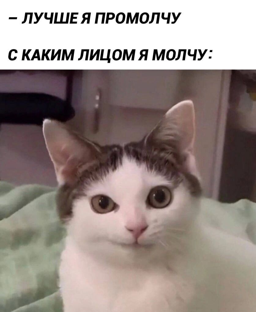 - ЛУЧШЕ Я ПРОМОЛЧУ С КАКИМ ЛИЦОМ Я МОЛЧУ: