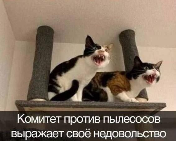 Комитет против пылесосов выражает своё недовольство