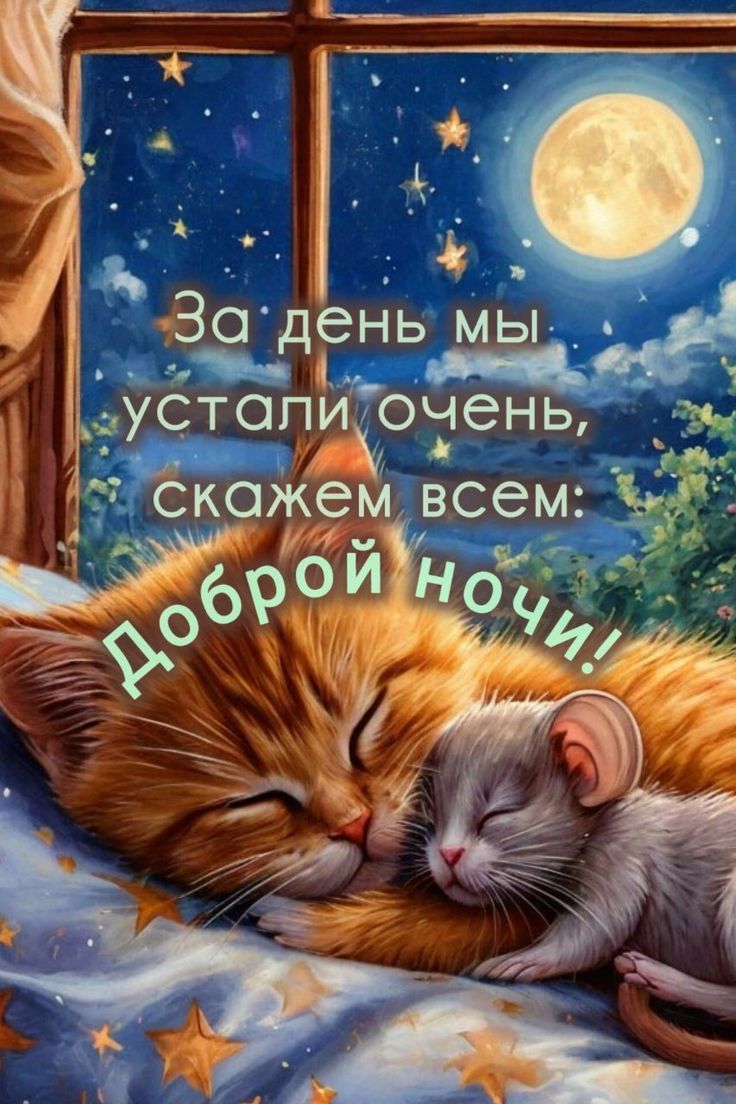 За день мы устали очень, скажем всем: доброй ночи!