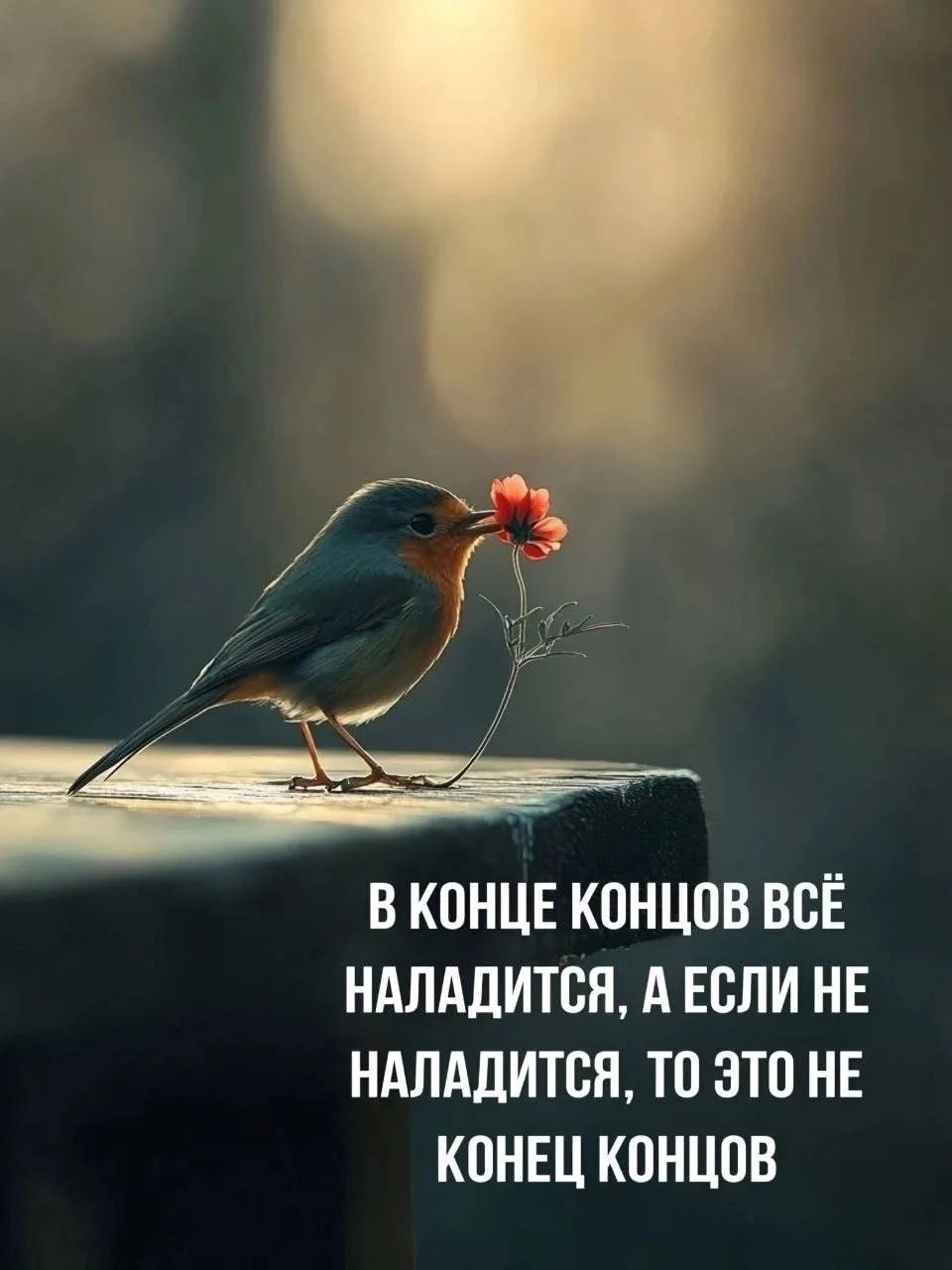 В конце концов всё наладится, а если не наладится, то это не конец концов