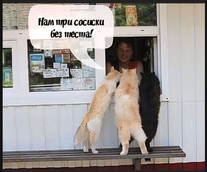 Нам три сосиски без теста!