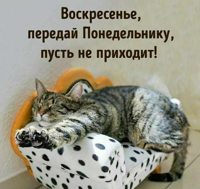 Воскресенье, передай Понедельнику, пусть не приходит!