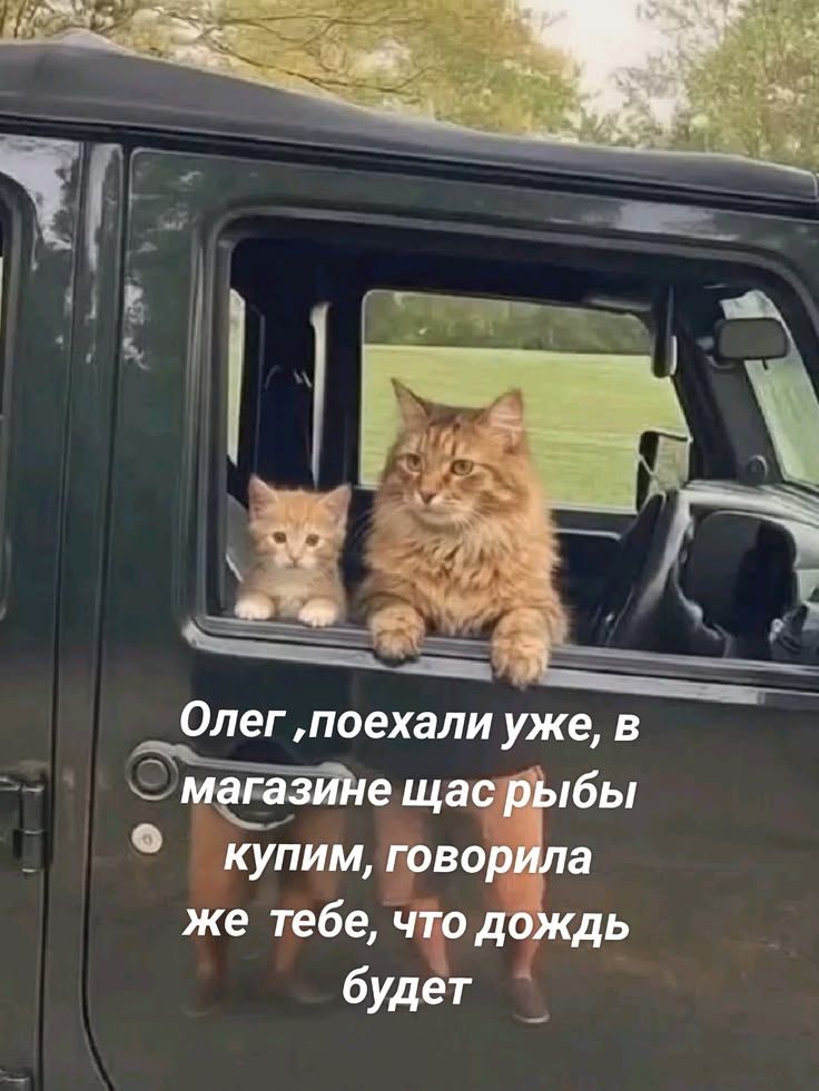 Олег ,поехали уже, в магазине щас рыбы купим, говорила же тебе, что дождь будет
