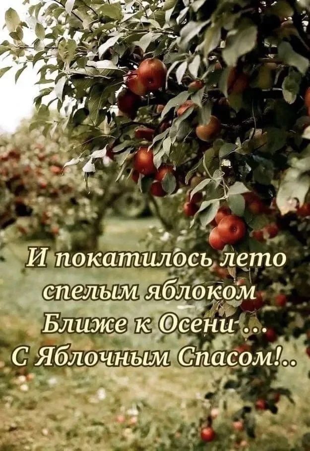 И покатилось лето спелым яблоком Ближе к Осени... С Яблочным Спасом!.