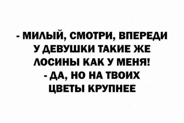 МИЛЫЙ, СМОТРИ, ВПЕРЕДИ У ДЕВУШКИ ТАКИЕ ЖЕ ЛОСИНЫ КАК У МЕНЯ! - ДА, НО НА ТВОИХ ЦВЕТЫ КРУПНЕЕ