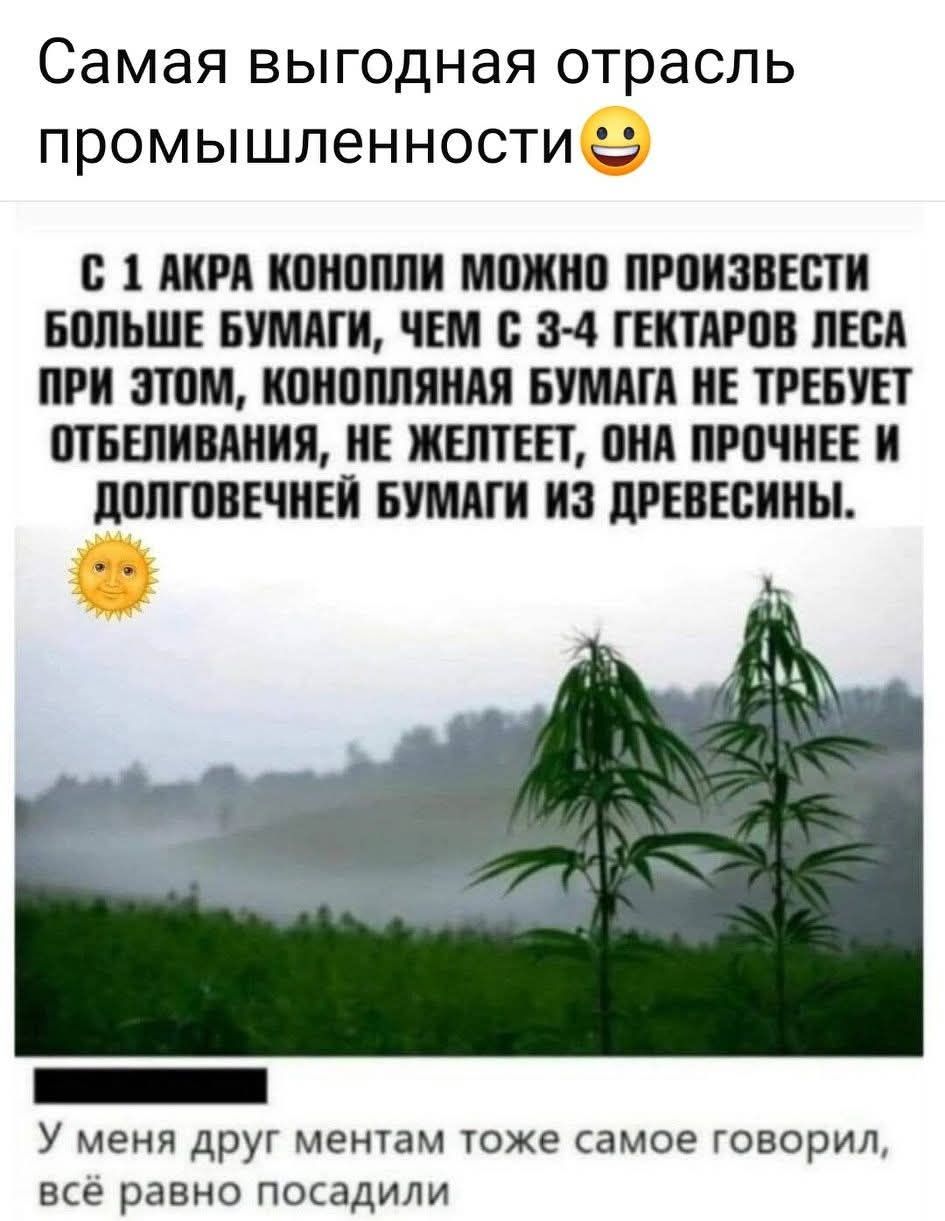 Самая выгодная отрасль промышленности 🙂 С 1 АКРА КОНОПЛИ МОЖНО ПРОИЗВЕСТИ БОЛЬШЕ БУМАГИ, ЧЕМ С 3-4 ГЕКТАРОВ ЛЕСА ПРИ ЭТОМ, КОНОПЛЯНАЯ БУМАГА НЕ ТРЕБУЕТ ОТБЕЛИВАНИЯ, НЕ ЖЕЛТЕЕТ, ОНА ПРОЧНЕЕ И ДОЛГОВЕЧНЕЙ БУМАГИ ИЗ ДРЕВЕСИНЫ. У меня друг ментам тоже самое говорил, всё равно посадили